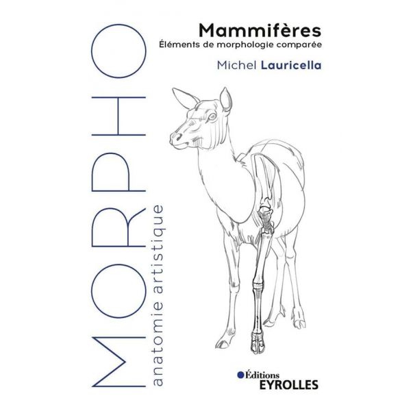 Morpho - Mammifères - recueil de plus de 500 dessins pour une centaine d'espèces de mammifères  - Livre Michel Lauricella 