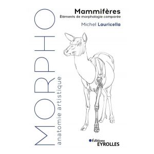 Morpho - Mammifères - recueil de plus de 500 dessins pour une centaine d'espèces de mammifères  - Livre Michel Lauricella 