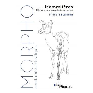 Morpho - Mammifères - Livre
