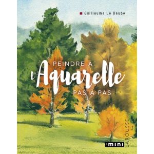 Peindre à l'aquarelle pas à pas - Livre