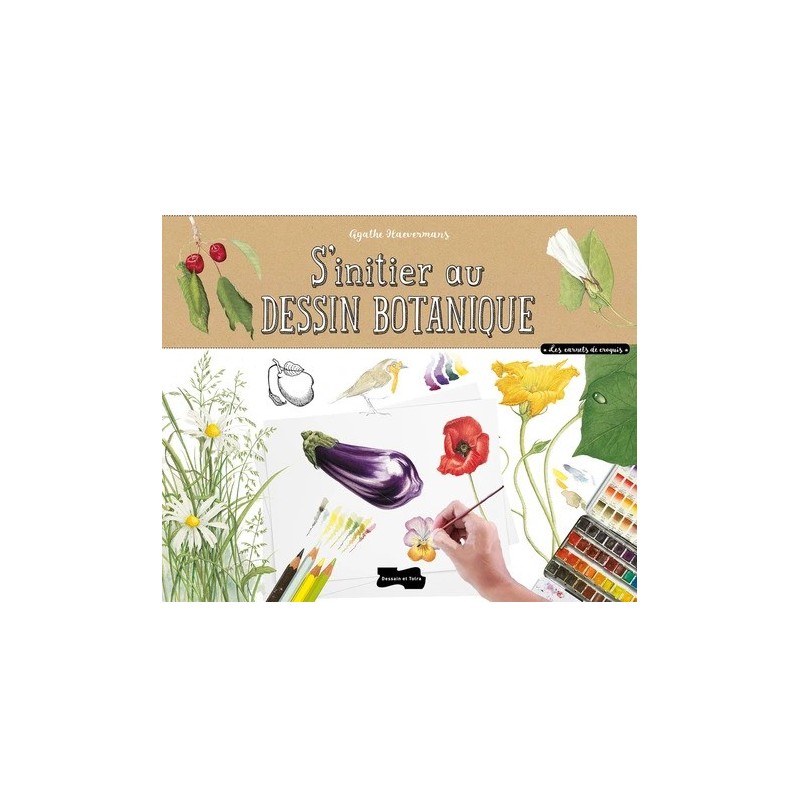 S'initier au dessin botanique - Agathe Haevermans -  Livre