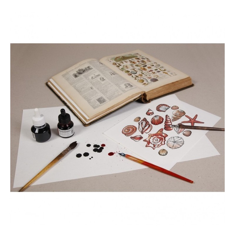 Ramette de papier buvard - calligraphie et écriture stylo plume -  100 feuilles 250gr - Clairefontaine