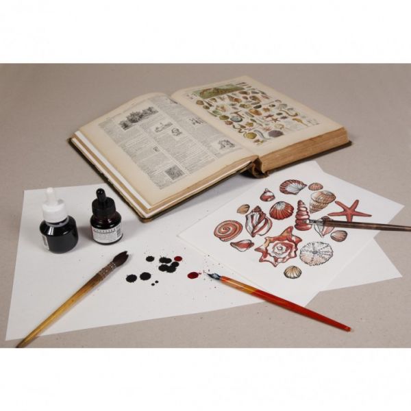 Ramette de papier buvard - calligraphie et écriture stylo plume -  100 feuilles 250gr - Clairefontaine