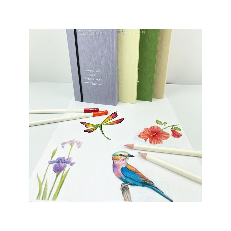 Set IROJITENS - Couleurs vives I - crayons élégants et polyvalents : illustrations, urban sketching, bullet journal -  Tombow