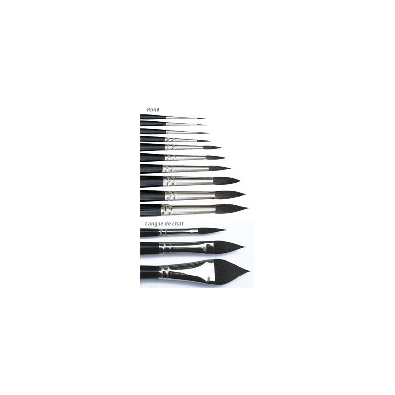 Pinceau Black Manet, pinceau aquarelle