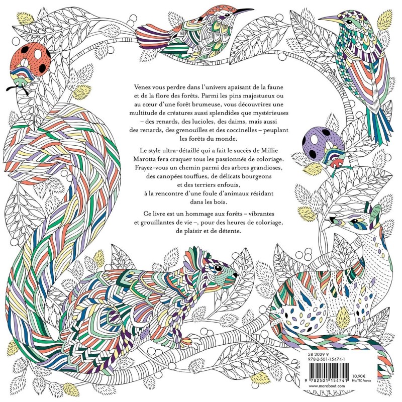 Peuple des forêts - Une aventure à colorier - Des arbres grandioses, des canopées touffues, de délicats bourgeons et des terrier