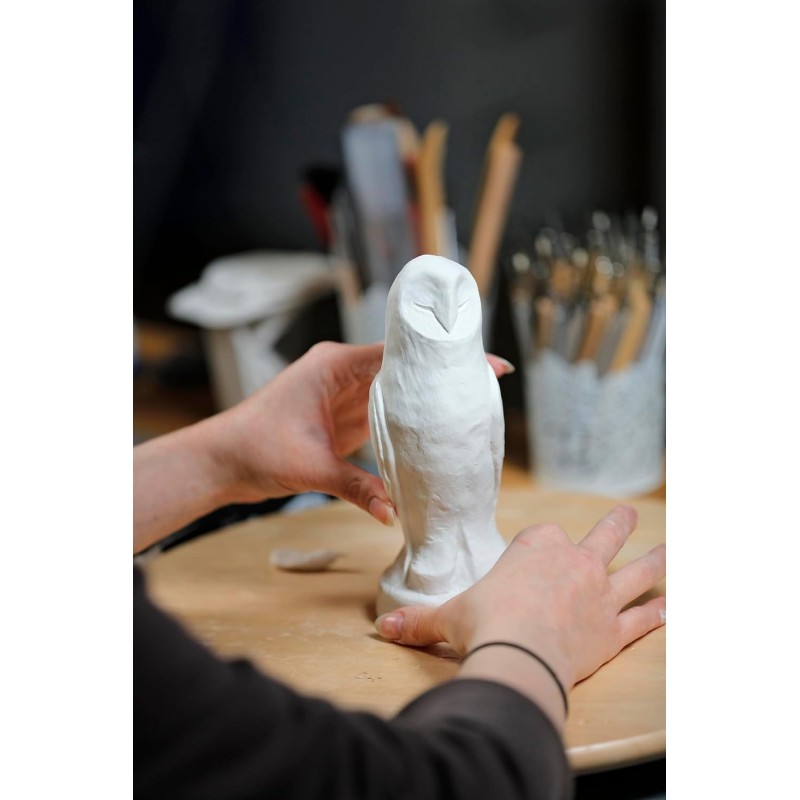 Pâte à modeler Roc auto-durcissante - haut de gamme - objets décoratifs, bijoux, poupées, statuettes - Séchage 4 jours -  Darwi