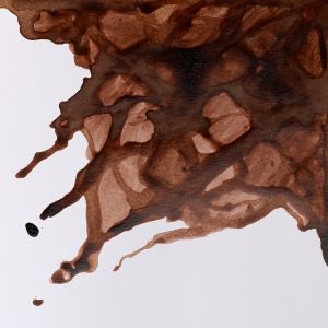 Encre à dessiner - Brun tourbe - diluable à l'eau et mélangeable - Winsor & Newton