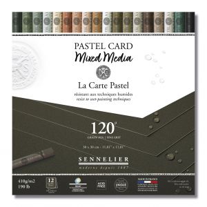 Pastel Card mixed media - Noir Anthracite -  Sennelier