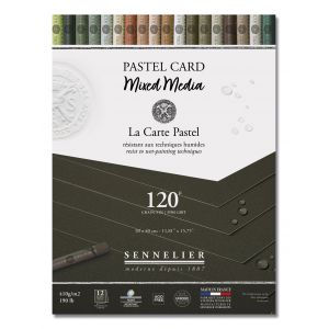 Pastel Card mixed media - Noir Anthracite - 30x40cm - Sennelier