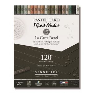 Pastel Card mixed media - Noir Anthracite -24x30cm - Sennelier