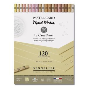 Pastel Card mixed media - Jaune de Naples - 30x40cm -Sennelier