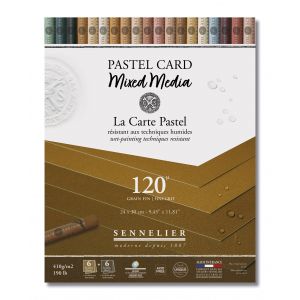Pastel Card mixed media - Les Terres 24x30cm -Sennelier