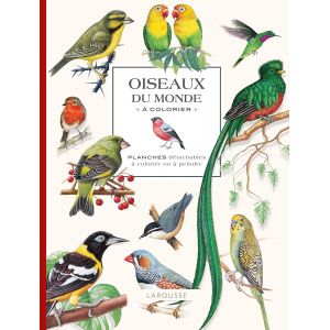 Oiseaux du monde à colorier - 72 pages - Larousse - Livre