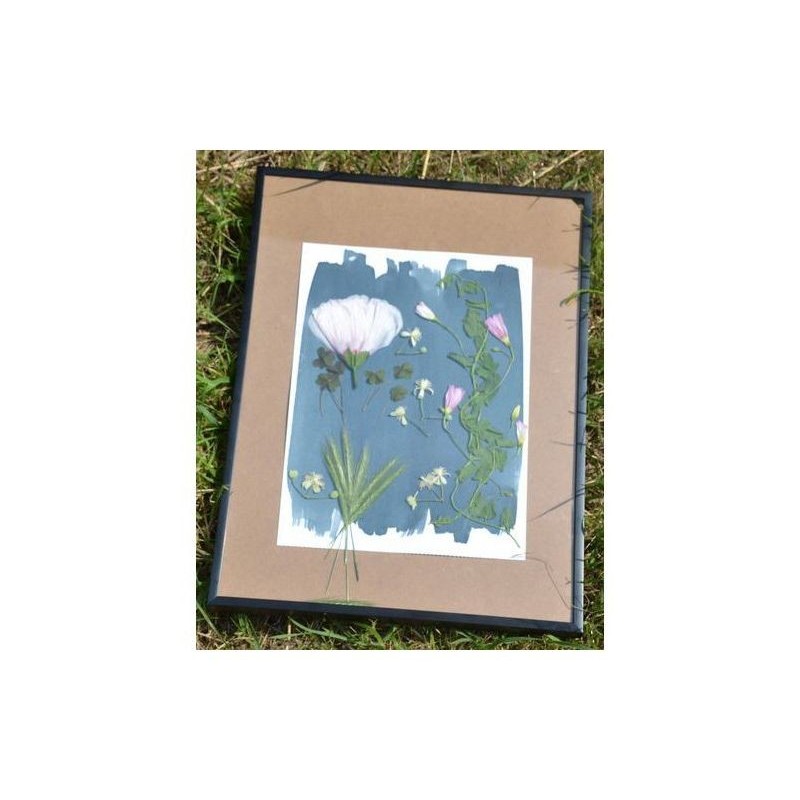 Kit Cyanotype Enjoy Art - Réalisation d'herbier en teintes bleutées - 