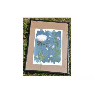 Kit Cyanotype Enjoy Art - Réalisation d'herbier en teintes bleutées - 