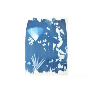 Kit Cyanotype Enjoy Art 6 - Teinte bleutée - reproductions monochromes en négatif de photos ou d'objets en tout genre ( feuilles