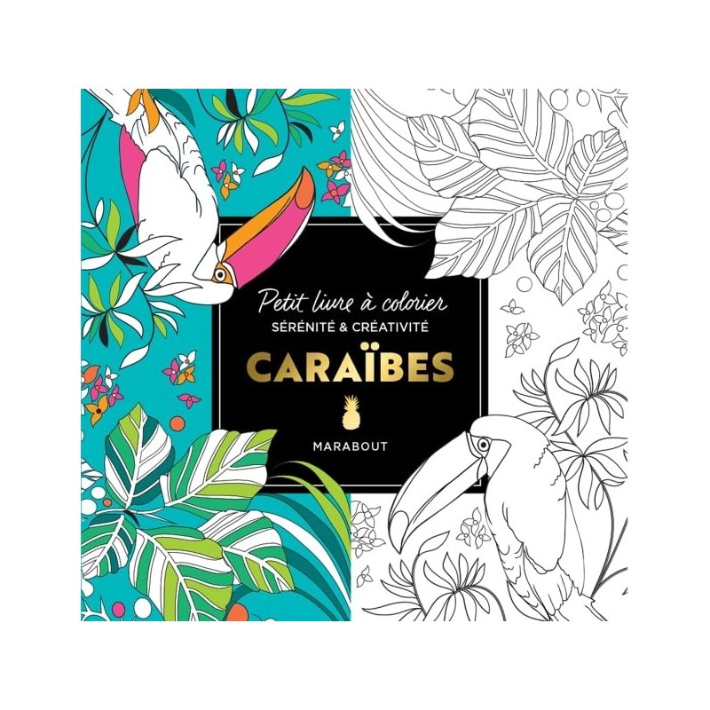 Petit livre à colorier Caraïbes - 144 pages - Perroquet, jungle.. -  Livre