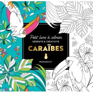 Petit livre à colorier Caraïbes - 144 pages - Perroquet, jungle.. -  Livre