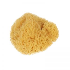 Eponge naturelle - diamètre 13cm