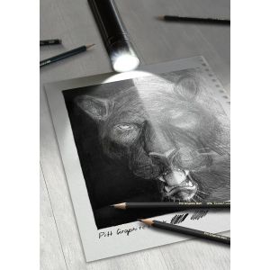 Set Pitt Graphite Matt (10B, 12B, 14B) + 1 Gomme + 1 Taille crayon - Idéal pour les œuvres monochromes en graphite ! -  