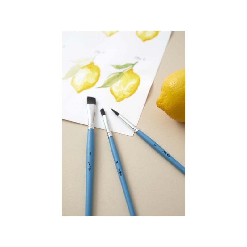 Set de 8 pinceaux Aquarelle synthétiques - Peintures diluées et encres - Excellente élasticité et rétention d'eau -  Pébéo