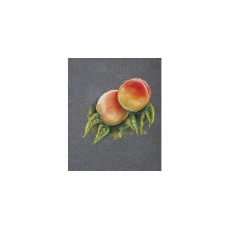 Bloc pour pastels PastelGrain - Accentue la profondeur et les effets de texture - Sans acides - excellente conservation - Claire