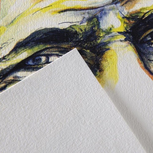 Feuille C à grain - 50x65cm - 180g ou 224g - blanc naturel - techniques sèches, gouache et encre - 