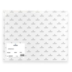 Feuille 160gr - 50x65cm - Lot de 25 feuilles - Blanc - Surface résistante - dessin et techniques sèches - Canson