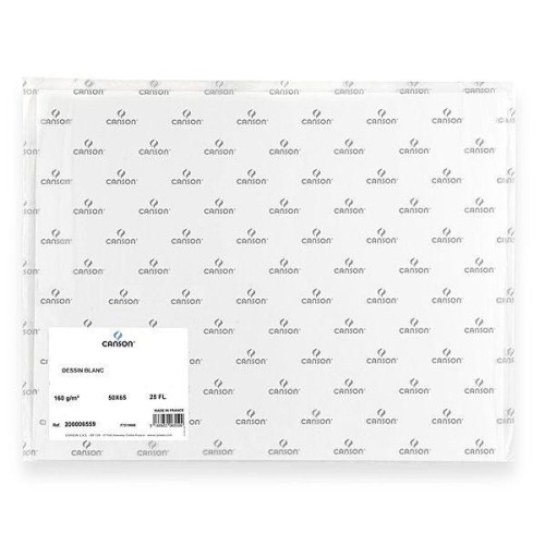 Feuille 160gr - 50x65cm - Lot de 25 feuilles - Blanc - Surface résistante - dessin et techniques sèches - Canson Feuille 160gr - 50x65cm - Lot de 25 feuilles - Blanc - Surface résistante - dessin et techniques sèches - Canson