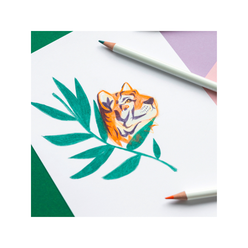 Coffret 36 crayons de couleur Irojiten - pour artistes professionnels